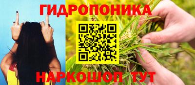 a pvp Кулебаки