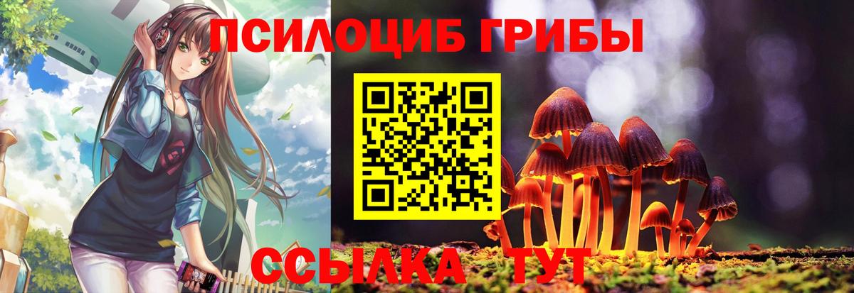 Галлюциногенные грибы MAGIC MUSHROOMS  Вход с VPN  дарнет шоп  Псилоцибиновые грибы Magic Shrooms  Ковров 